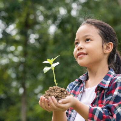 Asian girl standing and hold the tree planted